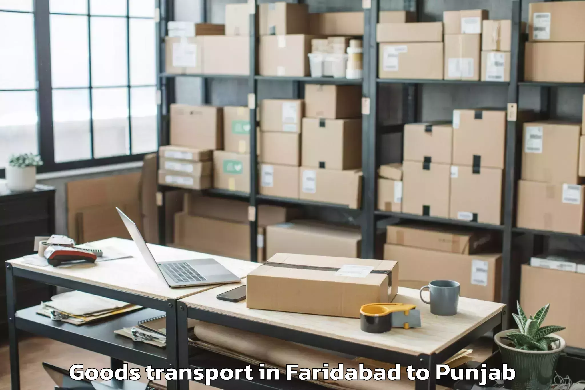 Professional Faridabad to Rajpura Goods Transport